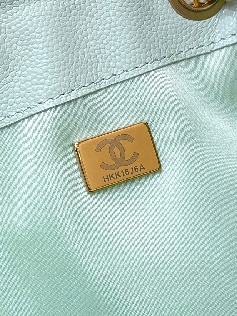 CC 25S Hobo Bag 40 Mint Green Calfskin