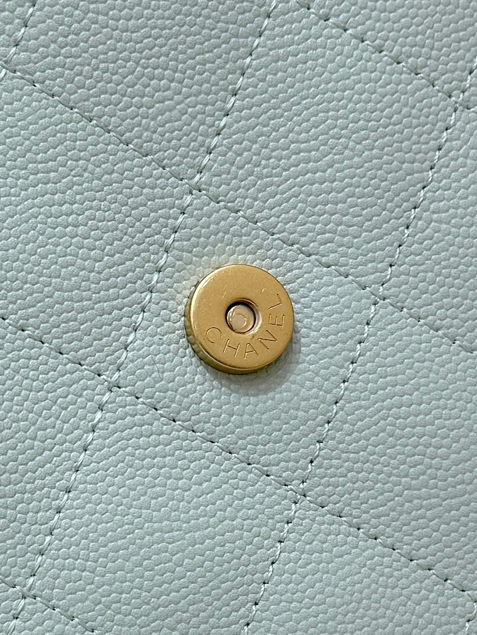 CC 25S Hobo Bag 40 Mint Green Calfskin