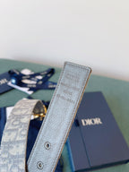 CD Belt 35mm Milkshake White Canvas Gray Calfskin Gold Buckle