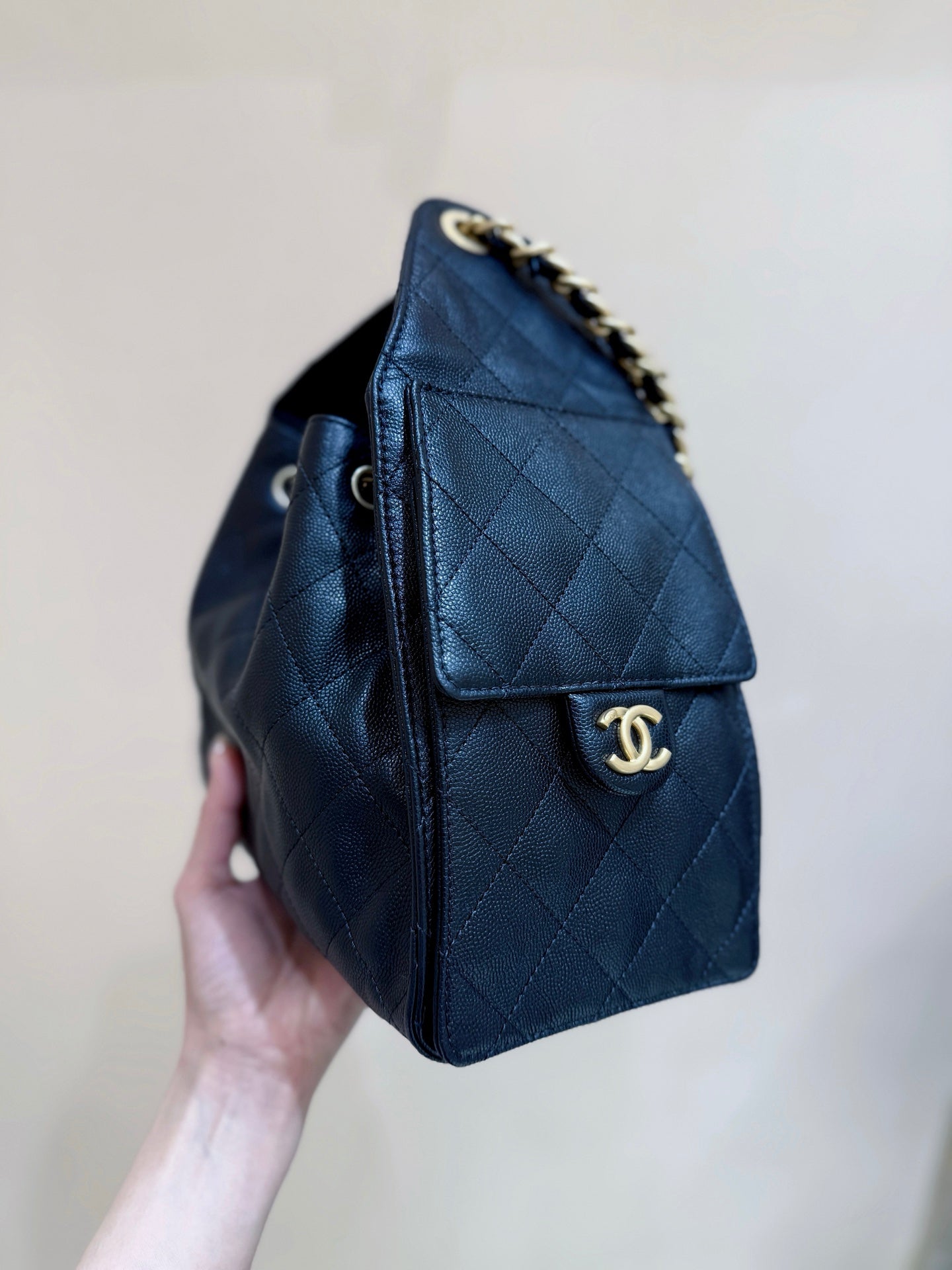 CC 25S Hobo Bag 25cm Black Calfskin