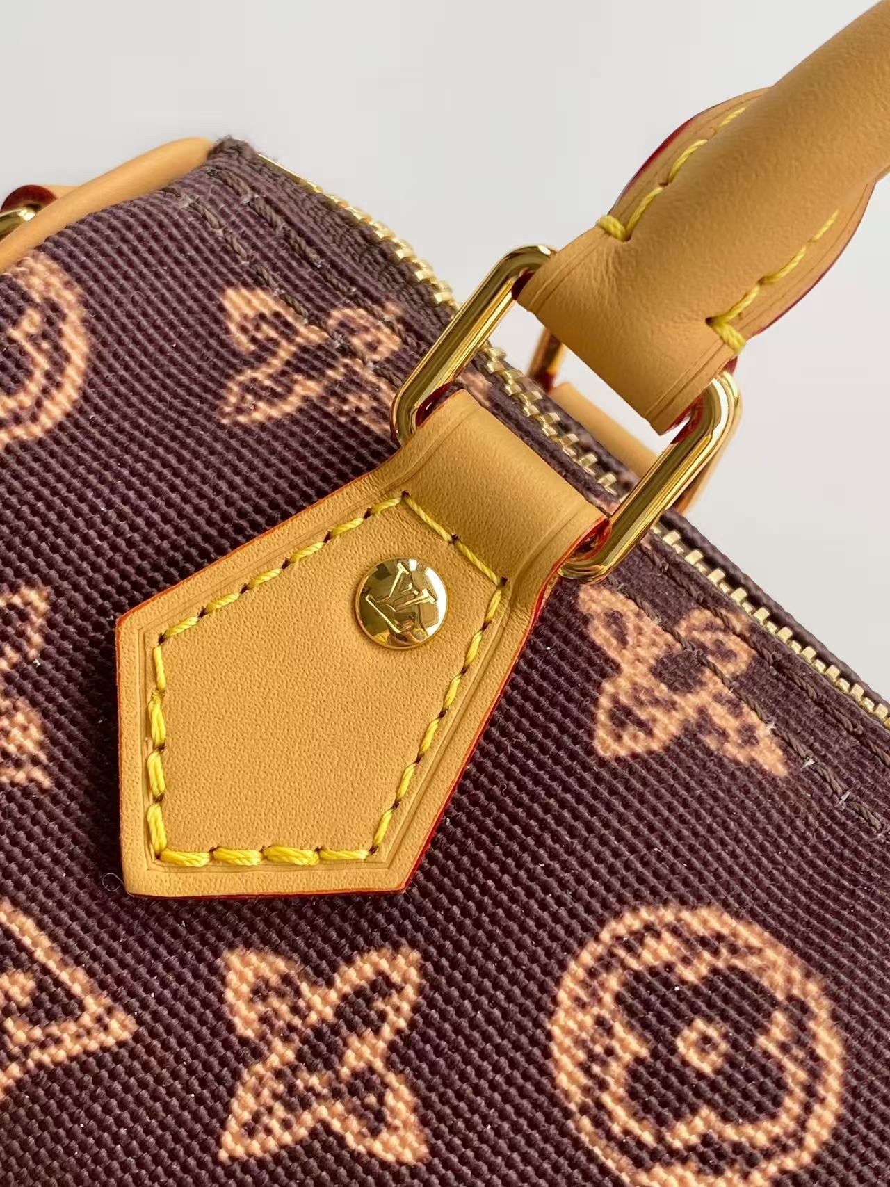 LV Nano Speedy Bag 26 Brown in Monogram Coated Canvas 278088