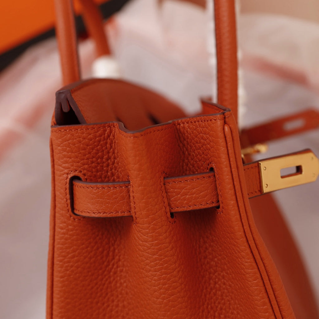 HM BIRKIN BAG 25 FIRE TOGO GOLD HARDWARE