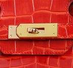 HM BIRKIN BAG 25 CANDY CROCODILE EMBOSSED CALFSKIN