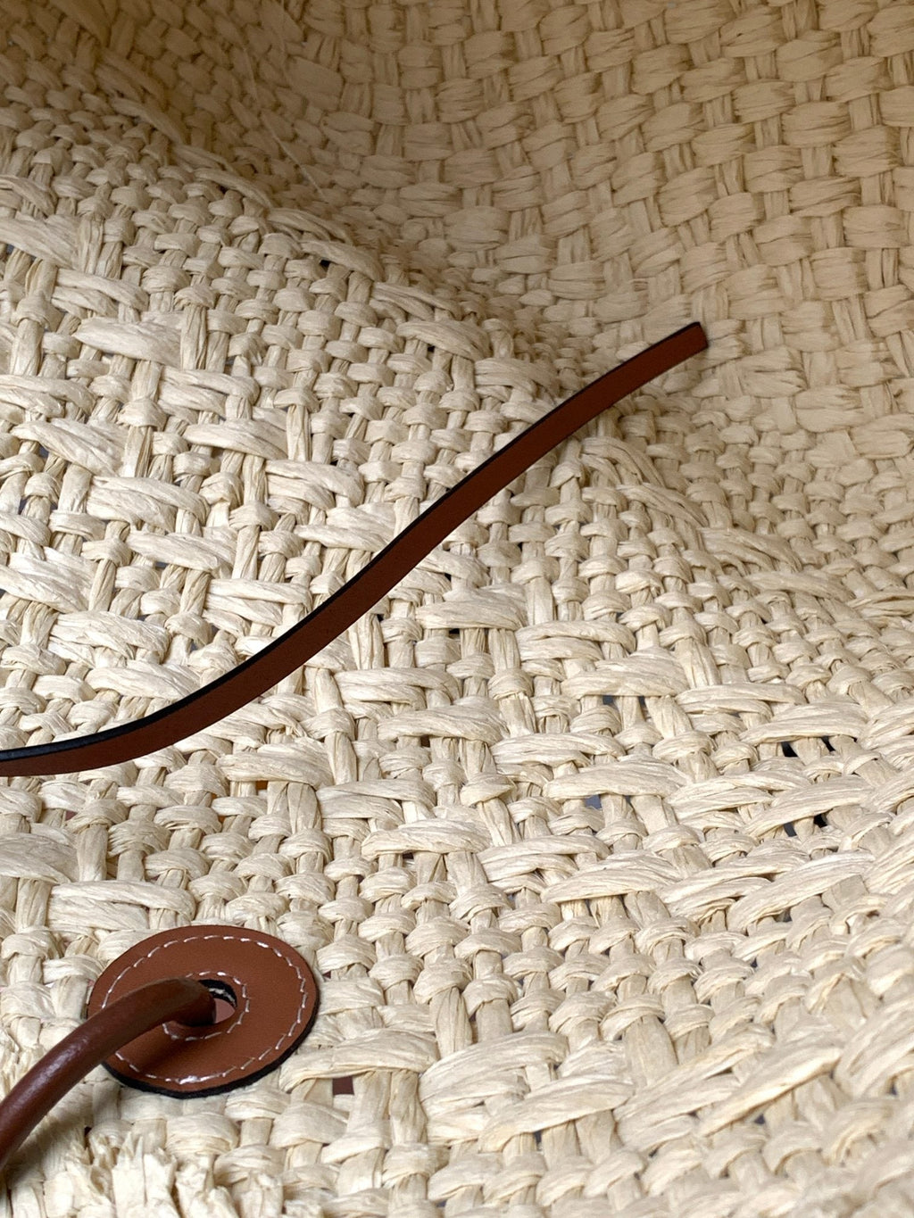 Medium anagram basket bag in iraca palm and calfskin