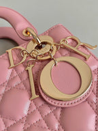 SMALL LADY 20 POWDER PINK LAMBSKIN