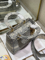 CD Gray Tiger 24 Lady Dior Bag Canvas 336660