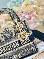 CD Elephant Apricot 17 Lady Dior Bag Canvas 336749