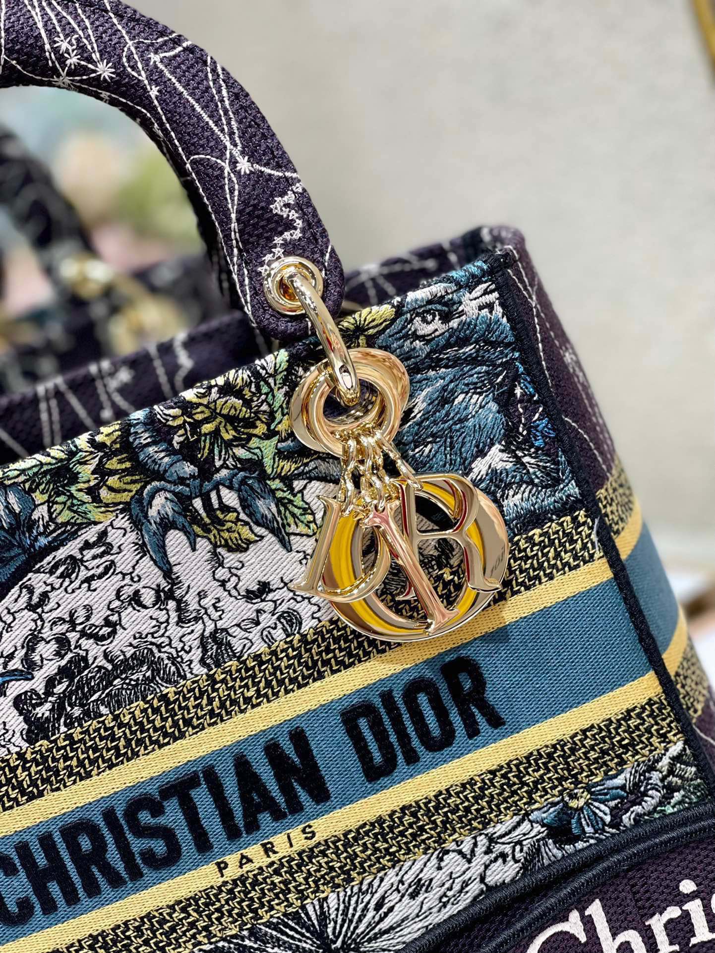 CD Blue Constellation 24 Lady Dior Bag Canvas 336724
