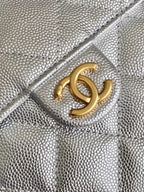 CC 25C Hobo Bags 30cm Silver Metallic Grained Calfskin