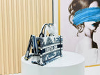 Dior Book Tote 21 cm Blue White Canvas