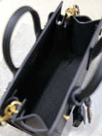 Sac De Jour Nano 22cm Black Grain Cowhide GHW