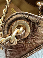 Chanel 25 Hobo Bag 22cm Bronze Calfskin 286184