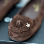 CC Ballet Flats Dark Brown With Camellia Dark Brown Suede