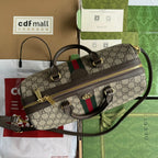 Gucci Ophidia Bag Beige mix Brown Canvas 240085