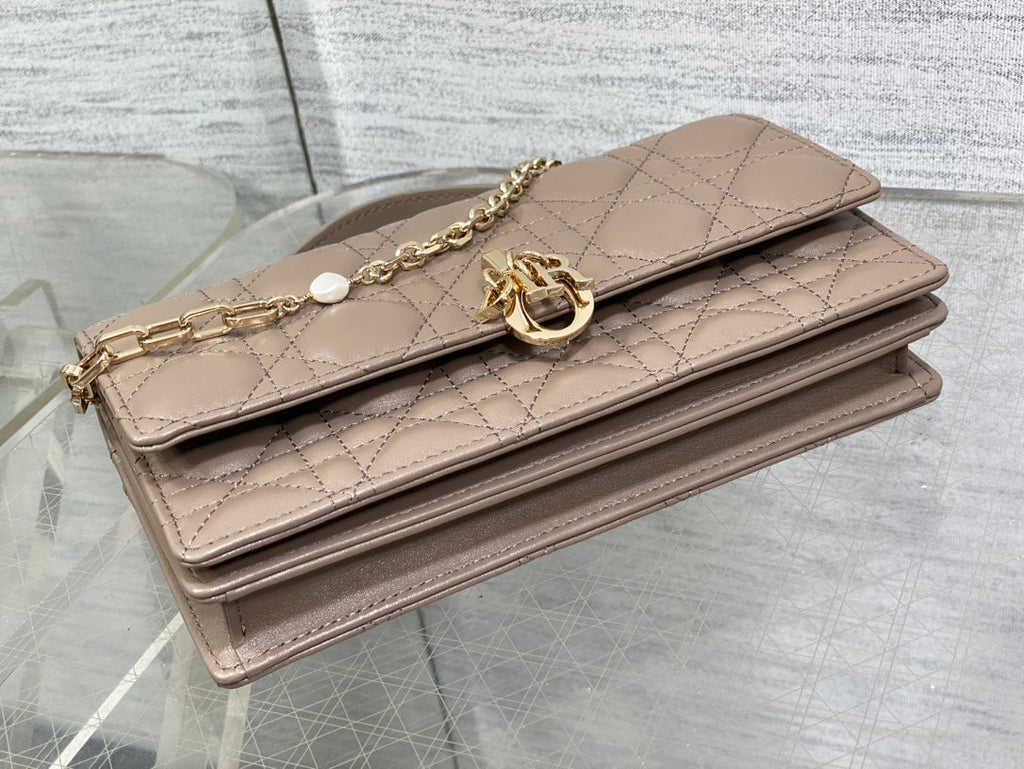 my cd mini 21 dark brown lambskin