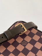 LV Amazone Cross-body Bag 13.5cm Brown Damier Phriendship Canvas