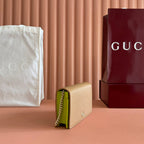Gucci Marmont Chain Wallet Brown mix Light Green Leather 254943