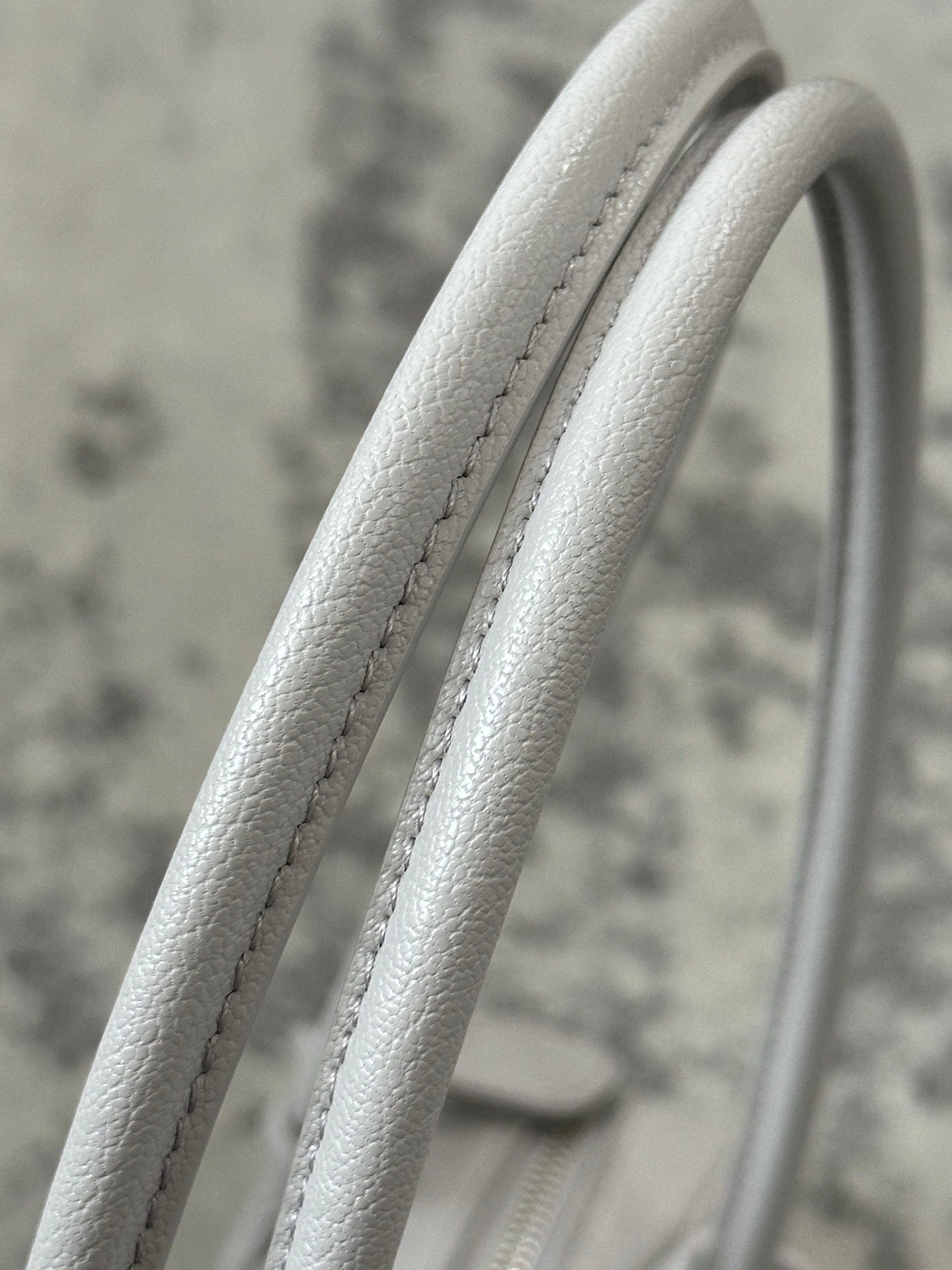 LE TECKEL MEDIUM BAG 32 IN PLATINUM GOATSKIN
