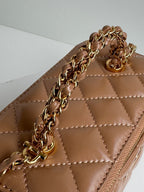 SMALL VANITY CASE 17 WITH HANDLE IN RUSSET BROWN CALFSKIN GOLD METAL CHAIN