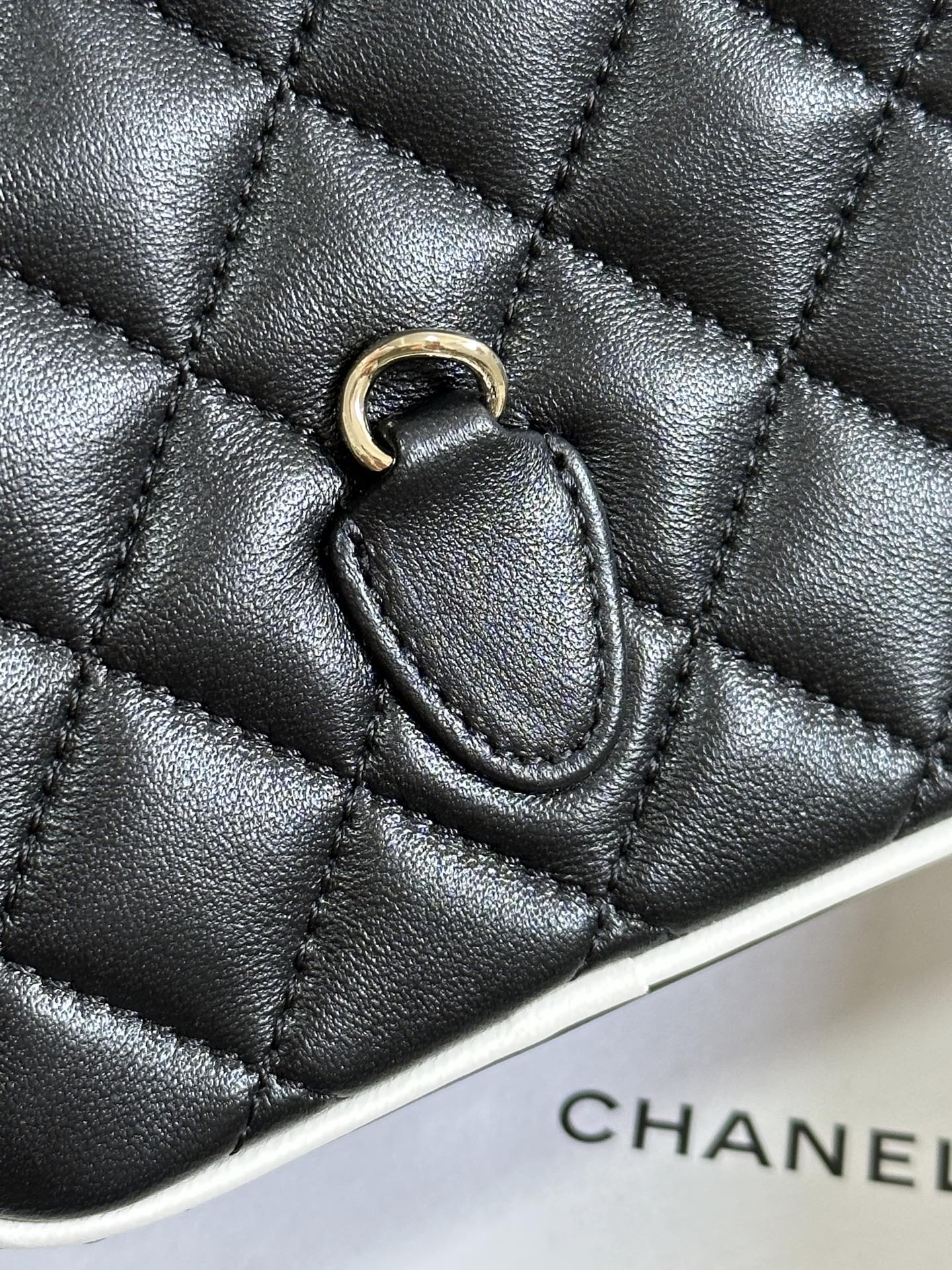 CC 25P Mini Backpack 18 Black White Lambskin Gold Hardware 243528