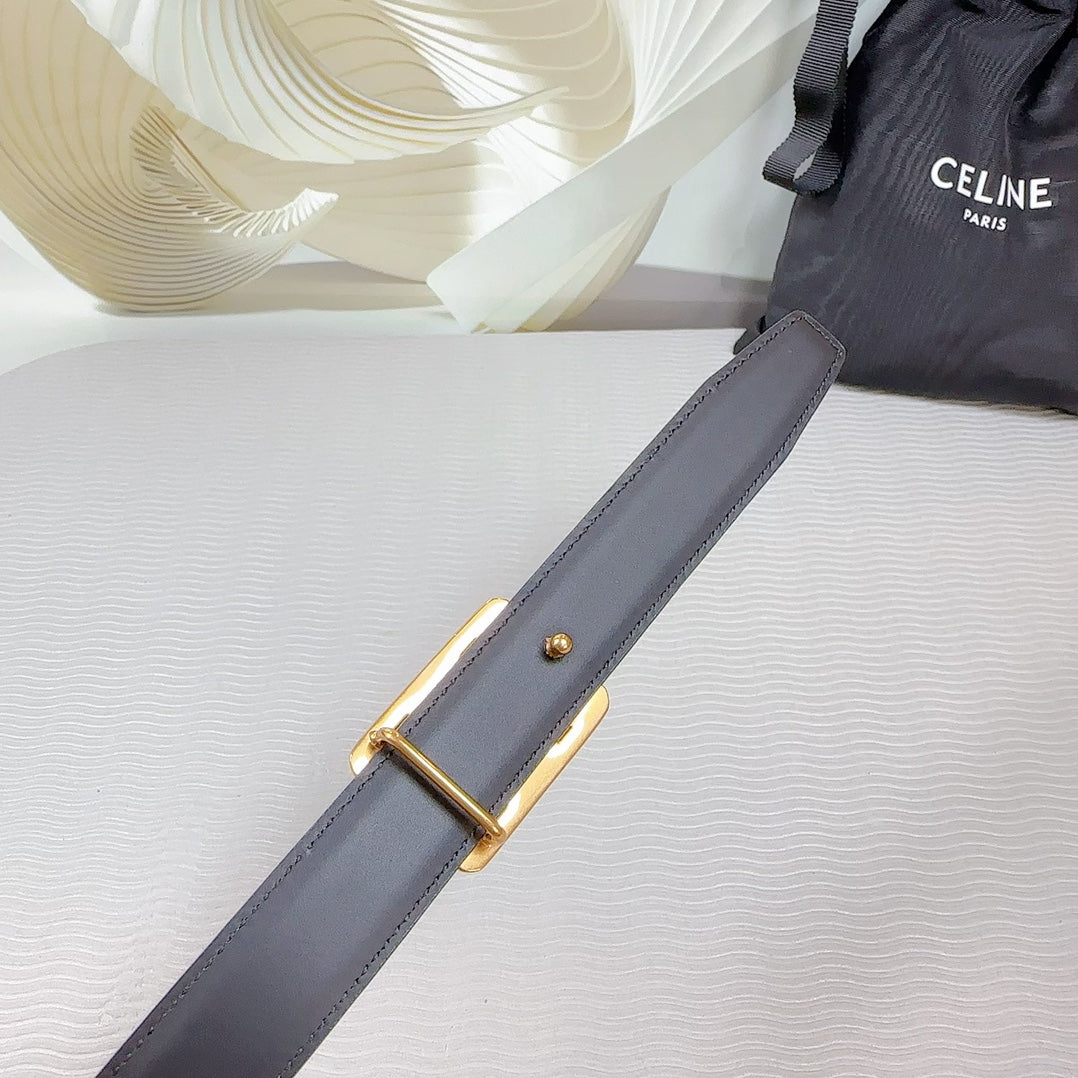 CEL Gold Buckle Belt 25mm Brown Calfskin 178254