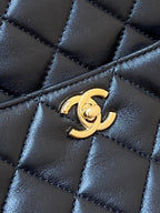 CC 24K Gold Coin Camera Bag 24cm Black Lambskin Light GHW