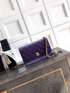 Chanel 2026 WOC Bag 20cm Velvet Leather 331109